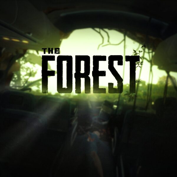 The Forest (PC)