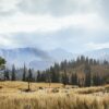 Far Cry (PC) - Image 2