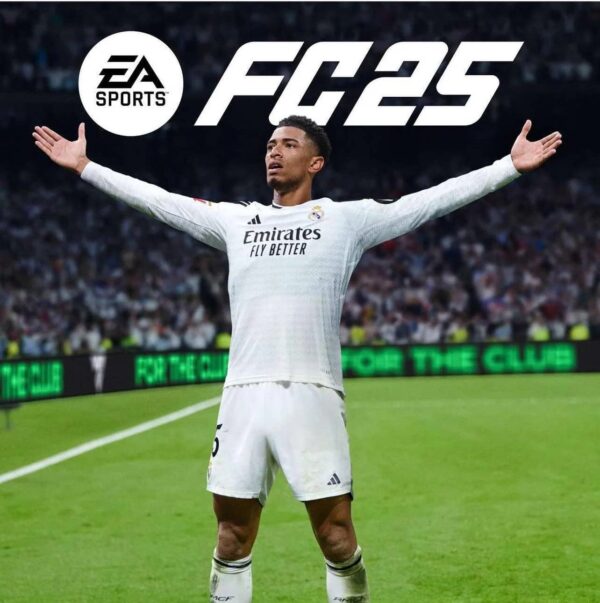 FC 25 (PC)
